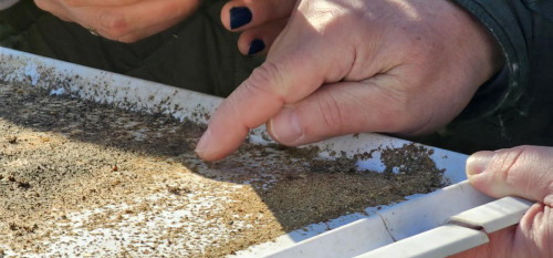 Praktische Auswinterung mit Guido Eich